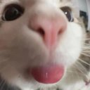 Artis adlı kullanıcı